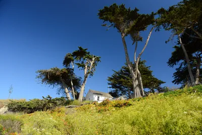 DSC_2551 (Large).JPG